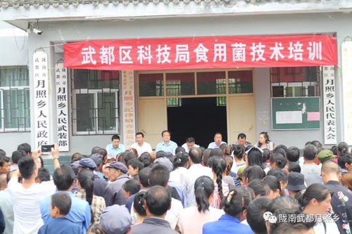 科技賦能農(nóng)業(yè)，武都區(qū)科技局在月照鄉(xiāng)舉辦食用菌栽培技術(shù)培訓(xùn)會助力鄉(xiāng)村振興